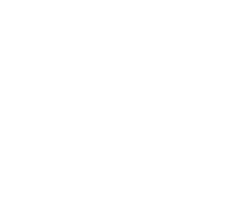 IBIZA Experts