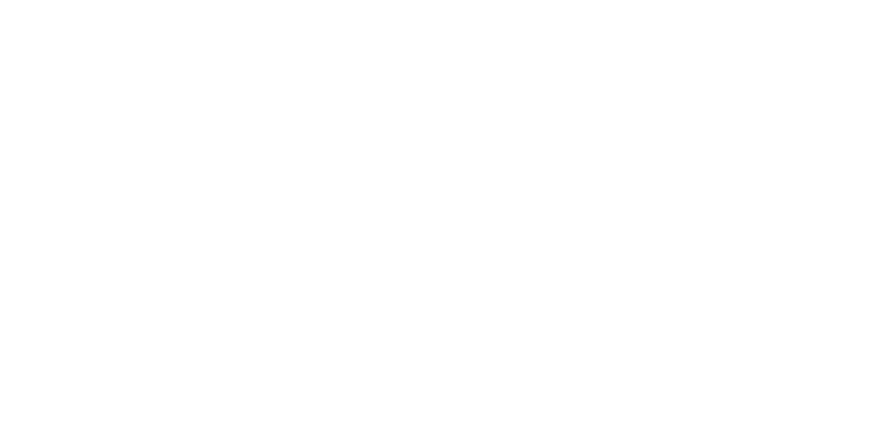 IBIZA Consultores