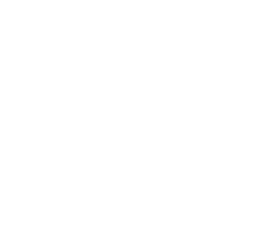 IBIZA Labs